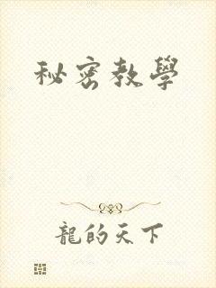 秘密教学