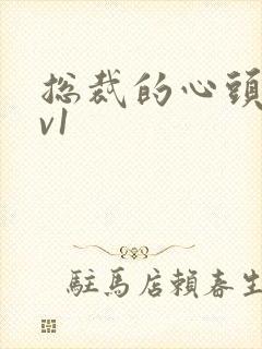 总裁的心头宝1v1