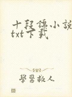 十段锦小说全本txt下载