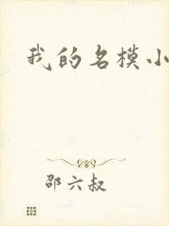 我的名模小娇妻