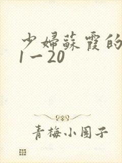 少妇苏霞的沉沦1一20