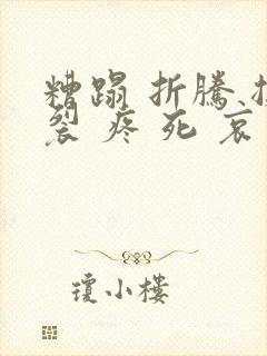 糟蹋 折腾 撕裂 疼 死 哀求