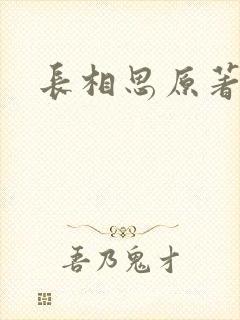长相思原著小说