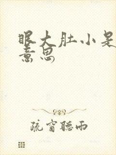 眼大肚小是什么意思