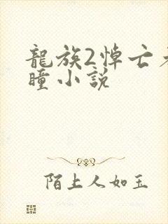 龙族2悼亡者之瞳小说