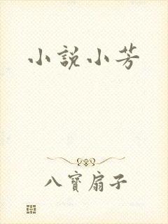 小说小芳