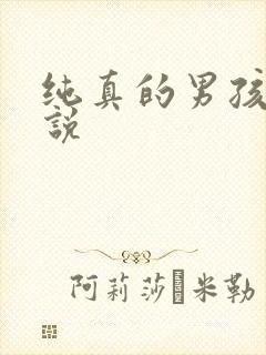 纯真的男孩子小说