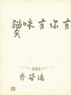 猫咪有你有我足矣