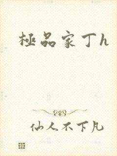 极品家丁h