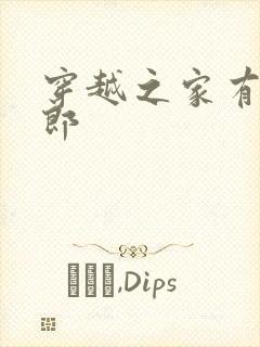 穿越之家有小夫郎