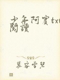 少年阿宾txt阅读