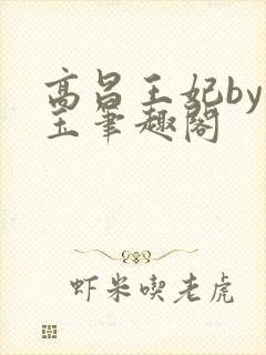 高昌王妃by黛玉笔趣阁