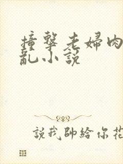 撞击老妇肉体之乱小说