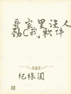 哥家里没人使点劲C我软件