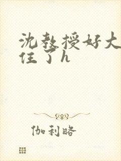 沈教授好大含不住了h