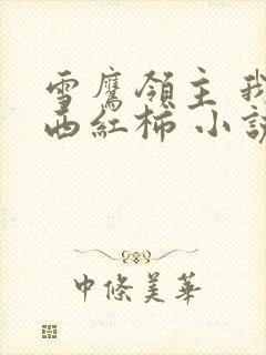 雪鹰领主 我吃西红柿 小说