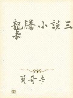 龙腾小说三宝局长