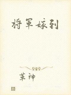 将军嫁到