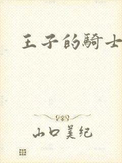 王子的骑士小说