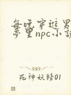 每晚穿进男神的梦里npc小说