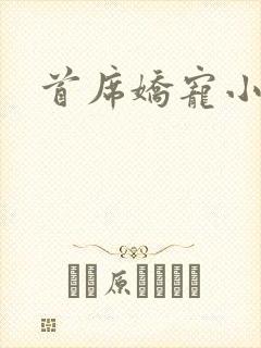 首席娇宠小情人