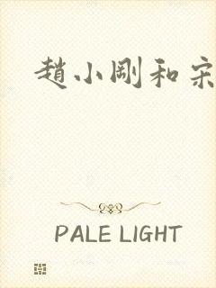 赵小刚和宋雨晴