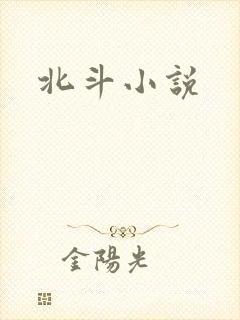 北斗小说