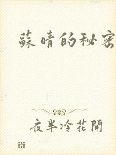 苏晴的秘密小说