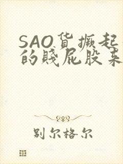 SAO货撅起你的贱屁股来