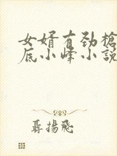 女婿有劲枪枪到底小峰小说