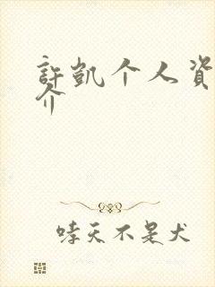 许凯个人资料简介