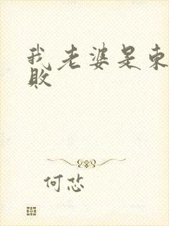 我老婆是东方不败