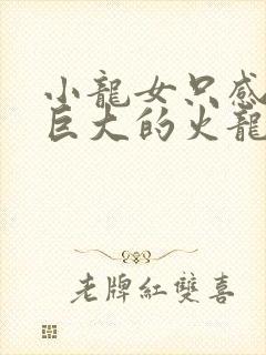 小龙女只感觉那巨大的火龙枪