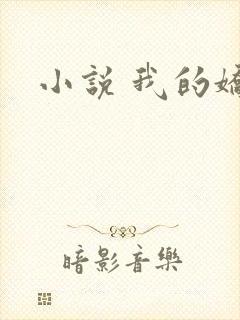 小说 我的娇妻