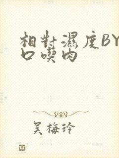 相对湿度BY大口吃肉