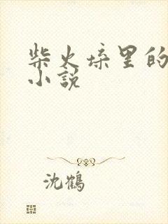 柴火垛里的疯狂小说