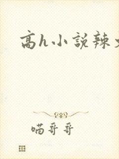 高h小说辣文