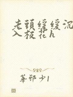 老头缓缓沉腰进入校花h