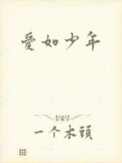 爱如少年