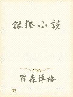 银狐小说