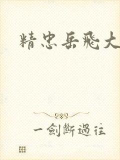 精忠岳飞大结局