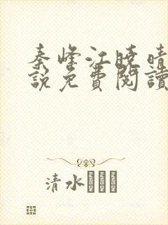 秦峰江晓晴的小说免费阅读