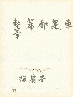 整篇都是车的文章