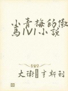 小青梅的傲娇竹马1V1小说