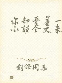 你却爱着一个他小说全文未删减免费