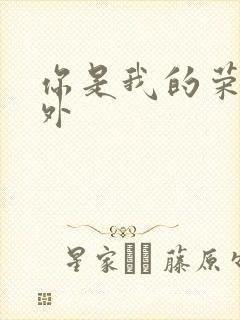 你是我的荣耀番外