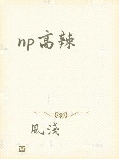 np高辣