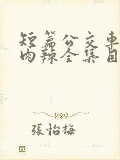 短篇公交车高h肉辣全集目录