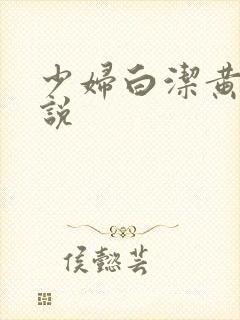 少妇白洁黄色小说