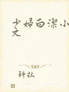 少妇白洁小说全文